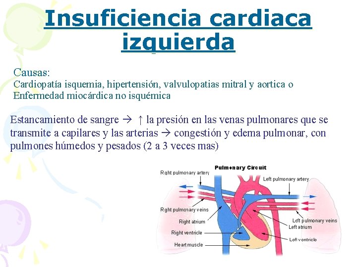 Insuficiencia cardiaca izquierda Causas: Cardiopatía isquemia, hipertensión, valvulopatias mitral y aortica o Enfermedad miocárdica