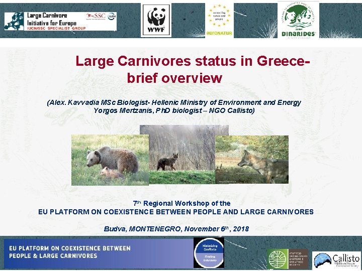 Large Carnivores status in Greecebrief overview (Alex. Kavvadia MSc Biologist- Hellenic Ministry of Environment