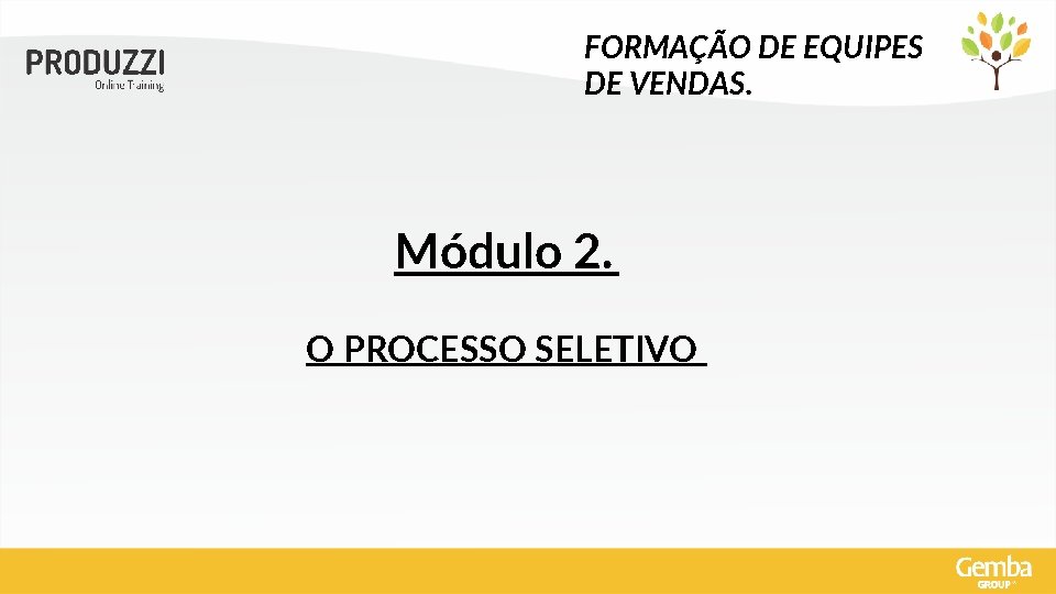 FORMAÇÃO DE EQUIPES DE VENDAS. Módulo 2. O PROCESSO SELETIVO 