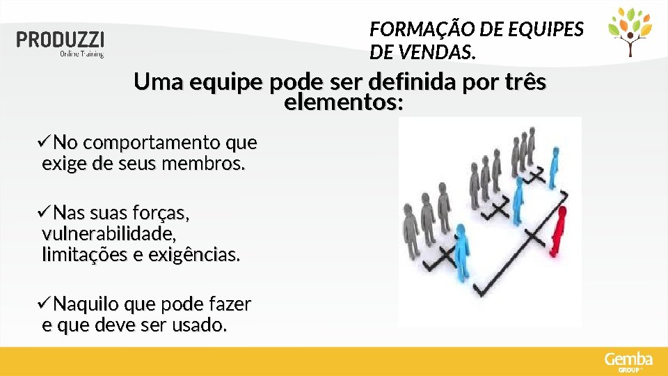 FORMAÇÃO DE EQUIPES DE VENDAS. Uma equipe pode ser definida por três elementos: üNo