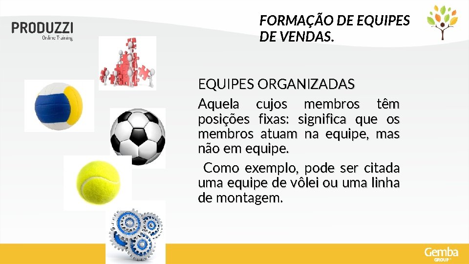 FORMAÇÃO DE EQUIPES DE VENDAS. EQUIPES ORGANIZADAS Aquela cujos membros têm posições fixas: significa