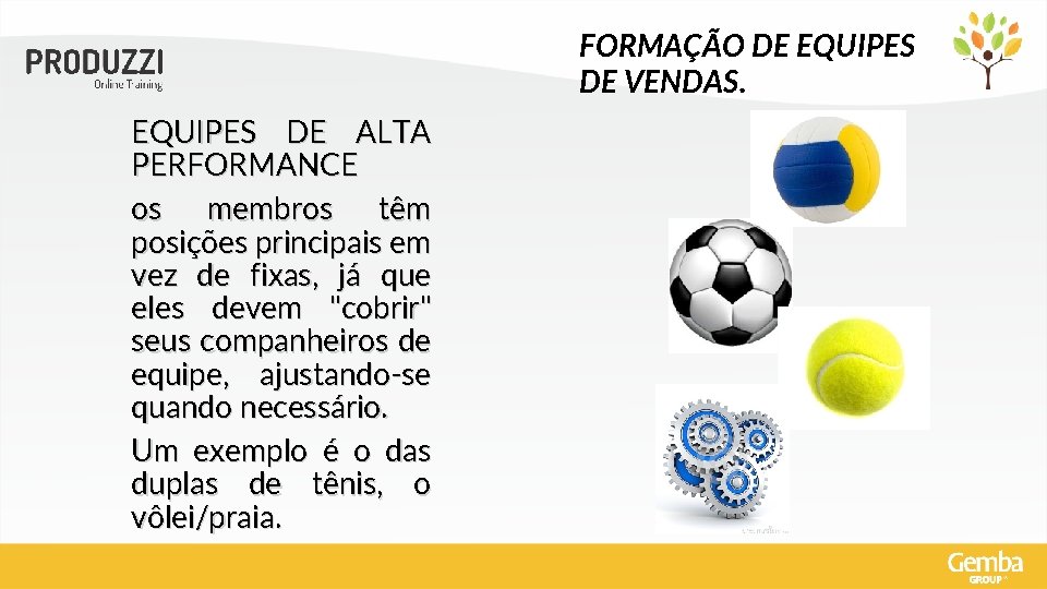 FORMAÇÃO DE EQUIPES DE VENDAS. EQUIPES DE ALTA PERFORMANCE os membros têm posições principais