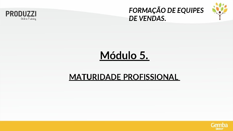 FORMAÇÃO DE EQUIPES DE VENDAS. Módulo 5. MATURIDADE PROFISSIONAL 