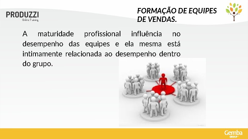 FORMAÇÃO DE EQUIPES DE VENDAS. A maturidade profissional influência no desempenho das equipes e