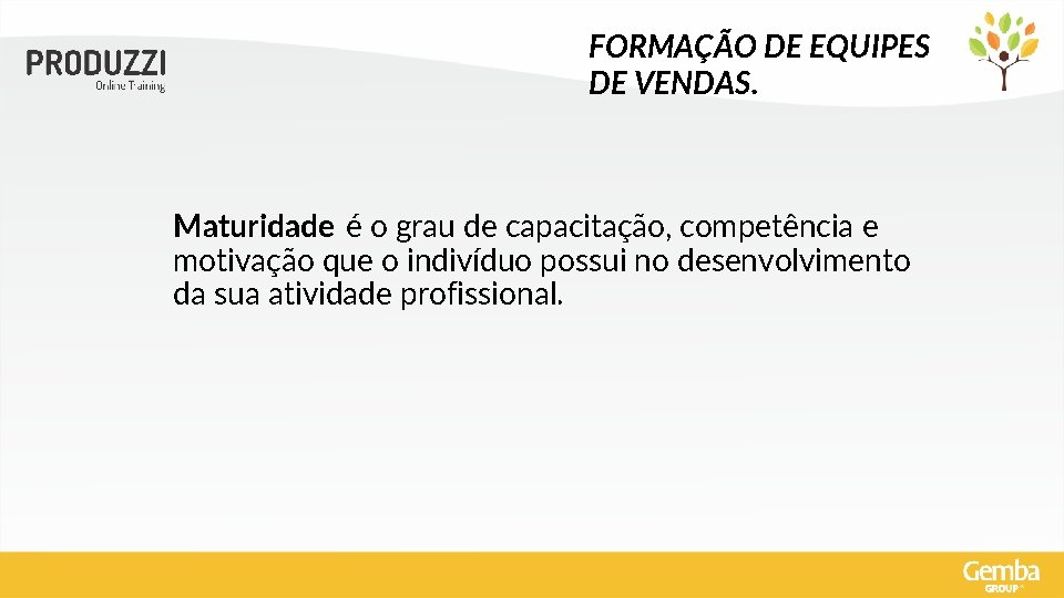 FORMAÇÃO DE EQUIPES DE VENDAS. Maturidade é o grau de capacitação, competência e motivação