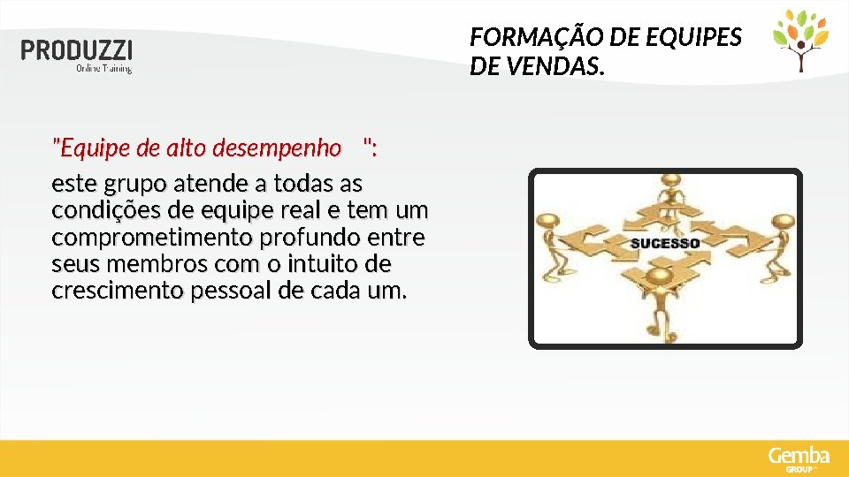 FORMAÇÃO DE EQUIPES DE VENDAS. "Equipe de alto desempenho ": este grupo atende a