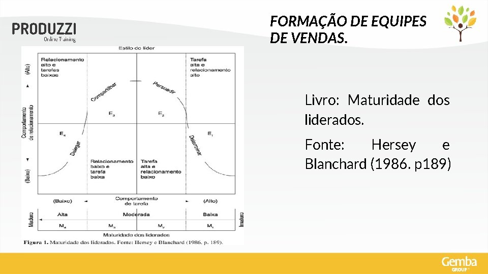 FORMAÇÃO DE EQUIPES DE VENDAS. Livro: Maturidade dos liderados. Fonte: Hersey e Blanchard (1986.