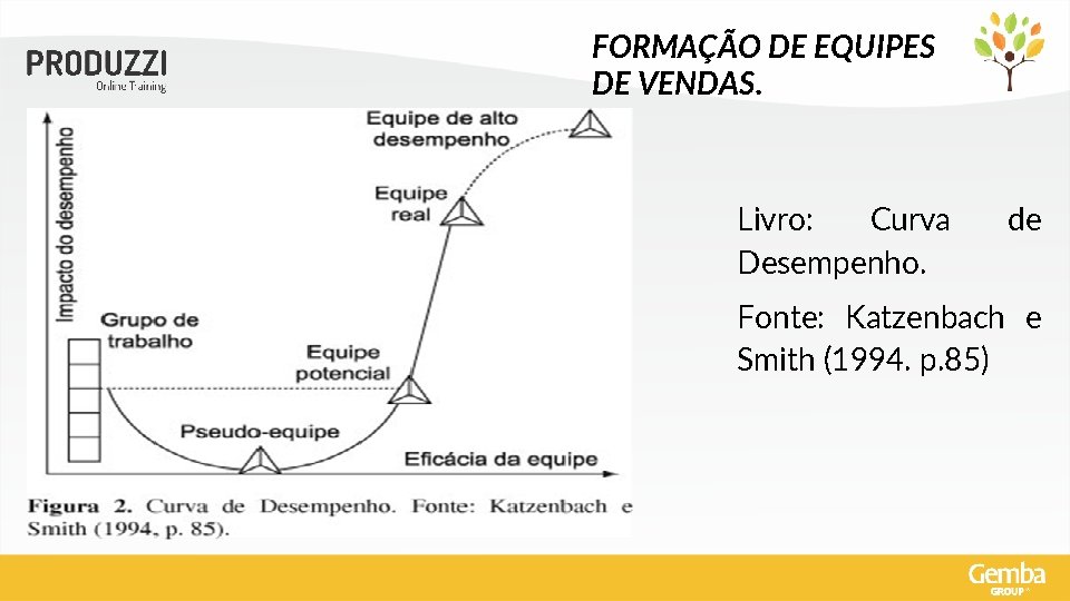 FORMAÇÃO DE EQUIPES DE VENDAS. Livro: Curva Desempenho. de Fonte: Katzenbach e Smith (1994.