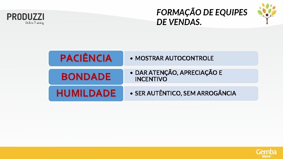 FORMAÇÃO DE EQUIPES DE VENDAS. PACIÊNCIA • MOSTRAR AUTOCONTROLE BONDADE • DAR ATENÇÃO, APRECIAÇÃO