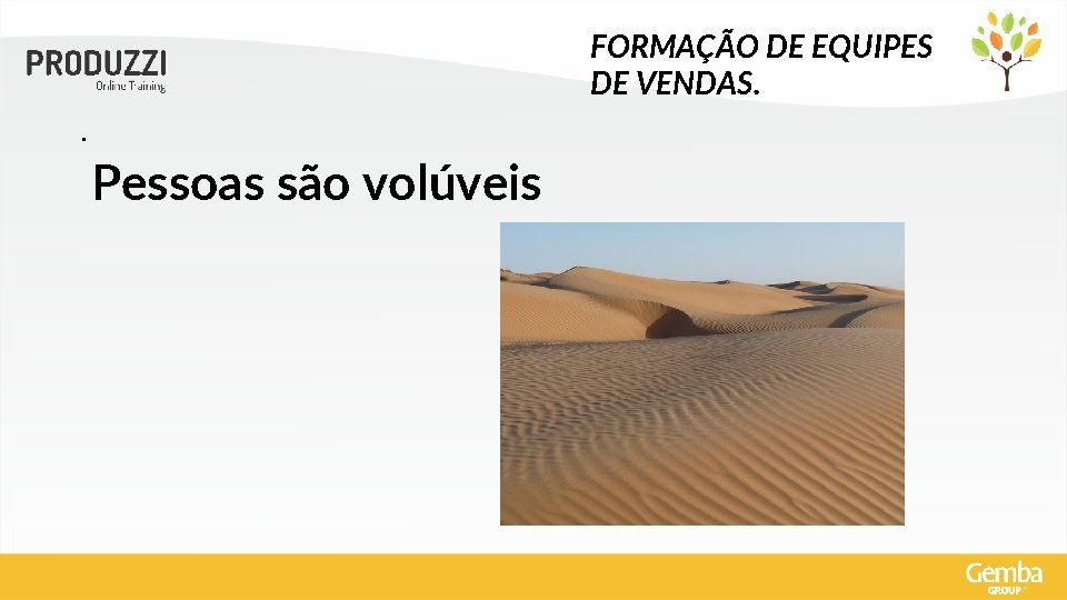 FORMAÇÃO DE EQUIPES DE VENDAS. . Pessoas são volúveis 