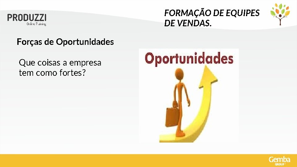 FORMAÇÃO DE EQUIPES DE VENDAS. Forças de Oportunidades Que coisas a empresa tem como