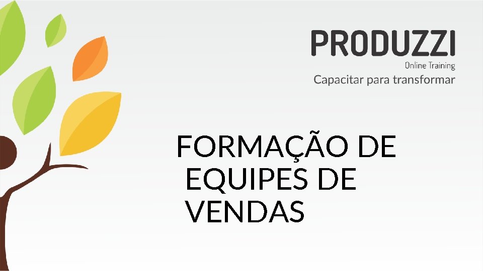 FORMAÇÃO DE EQUIPES DE VENDAS 