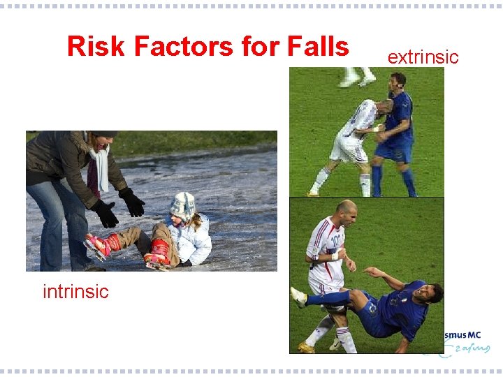 Risk Factors for Falls intrinsic extrinsic 