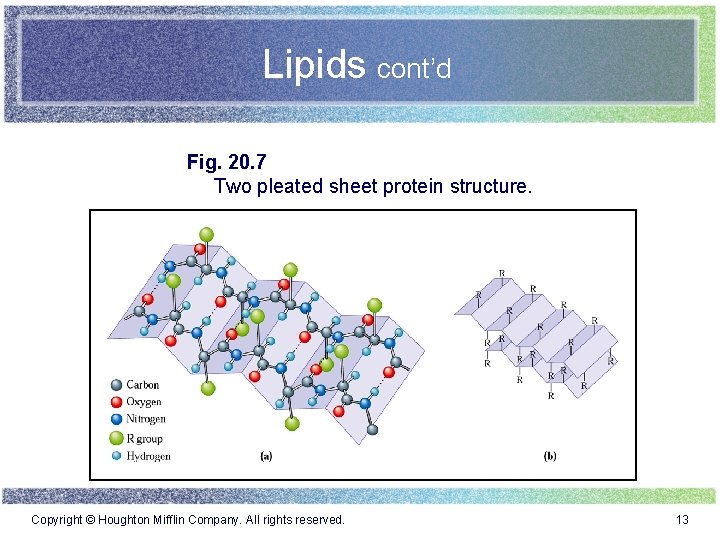 Lipids cont’d Fig. 20. 7 Two pleated sheet protein structure. Copyright © Houghton Mifflin