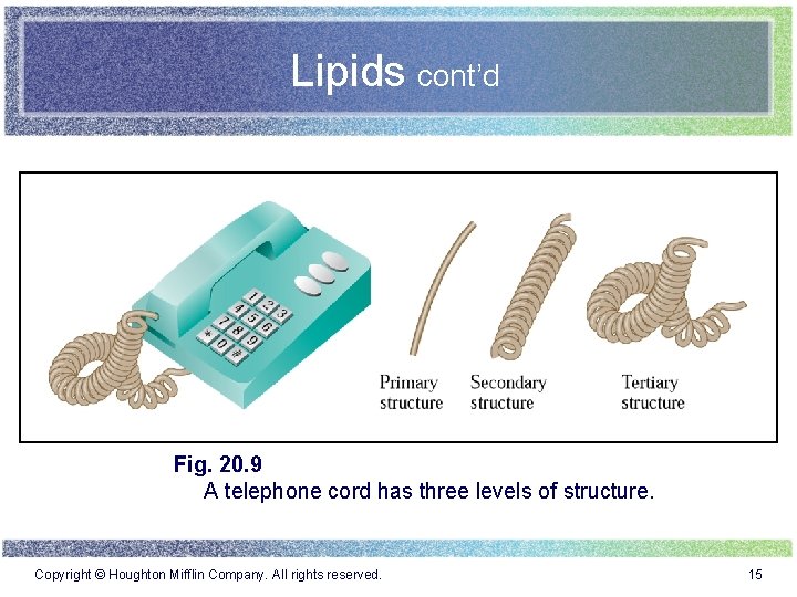 Lipids cont’d Fig. 20. 9 A telephone cord has three levels of structure. Copyright