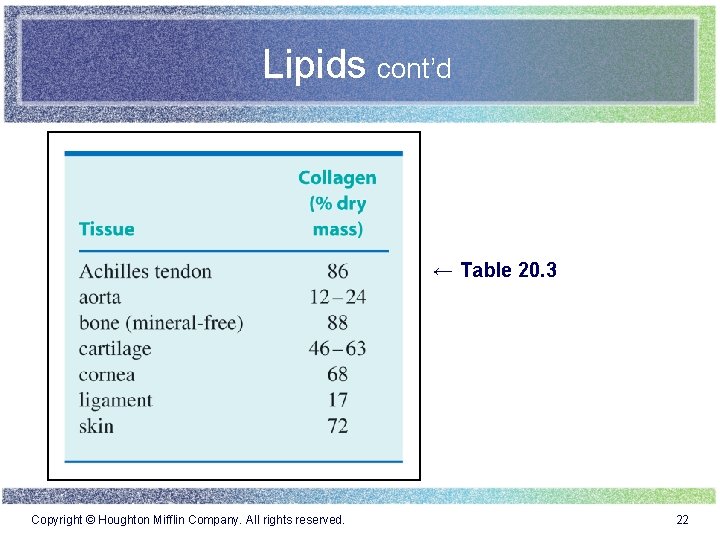 Lipids cont’d ← Table 20. 3 Copyright © Houghton Mifflin Company. All rights reserved.