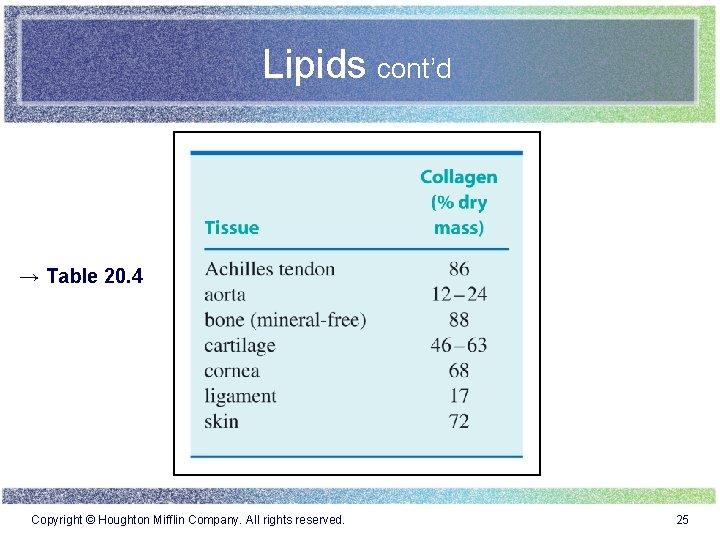 Lipids cont’d → Table 20. 4 Copyright © Houghton Mifflin Company. All rights reserved.