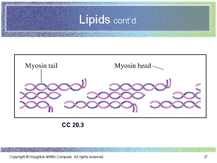 Lipids cont’d CC 20. 3 Copyright © Houghton Mifflin Company. All rights reserved. 27