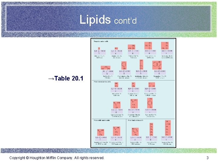 Lipids cont’d →Table 20. 1 Copyright © Houghton Mifflin Company. All rights reserved. 3