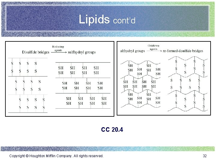 Lipids cont’d CC 20. 4 Copyright © Houghton Mifflin Company. All rights reserved. 32