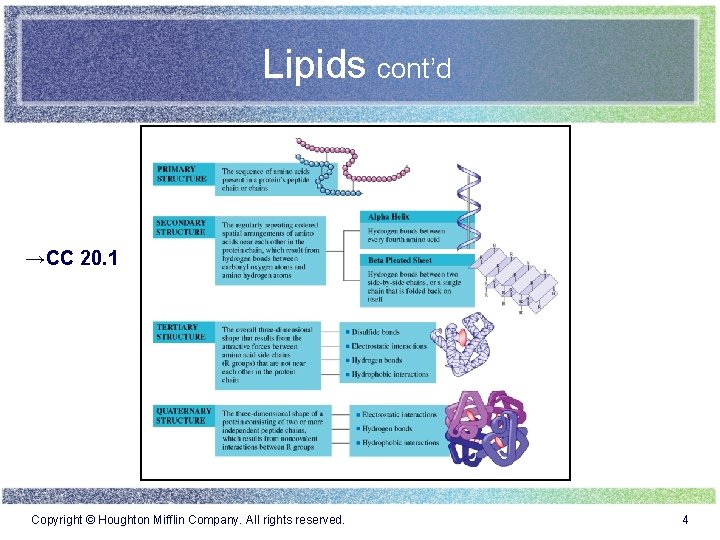 Lipids cont’d →CC 20. 1 Copyright © Houghton Mifflin Company. All rights reserved. 4