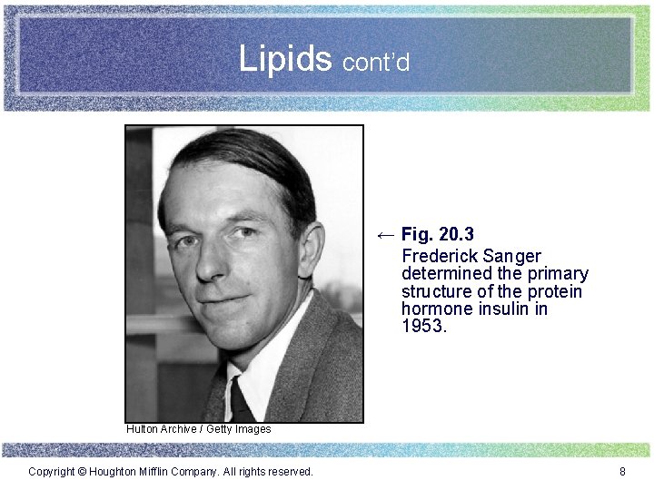 Lipids cont’d ← Fig. 20. 3 Frederick Sanger determined the primary structure of the