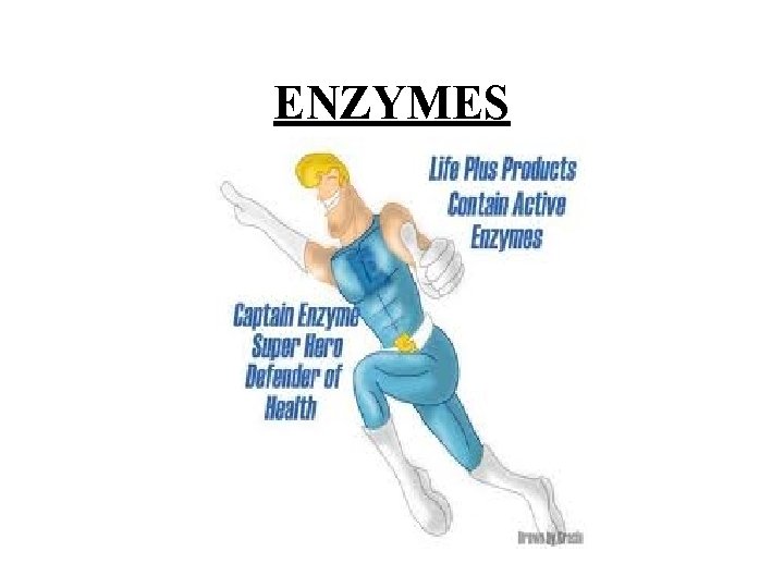 ENZYMES 