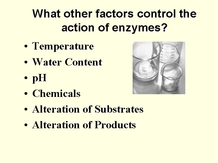 What other factors control the action of enzymes? • • • Temperature Water Content
