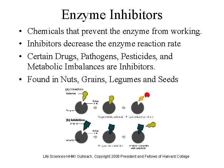 Enzyme Inhibitors • Chemicals that prevent the enzyme from working. • Inhibitors decrease the
