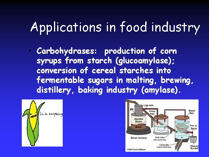 Applications in food industry • Carbohydrases: production of corn syrups from starch (glucoamylase); conversion