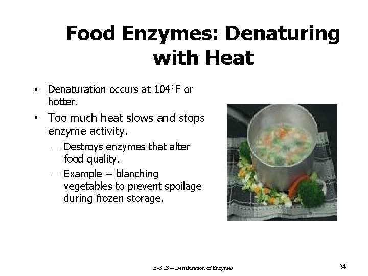 Food Enzymes: Denaturing with Heat • Denaturation occurs at 104°F or hotter. • Too