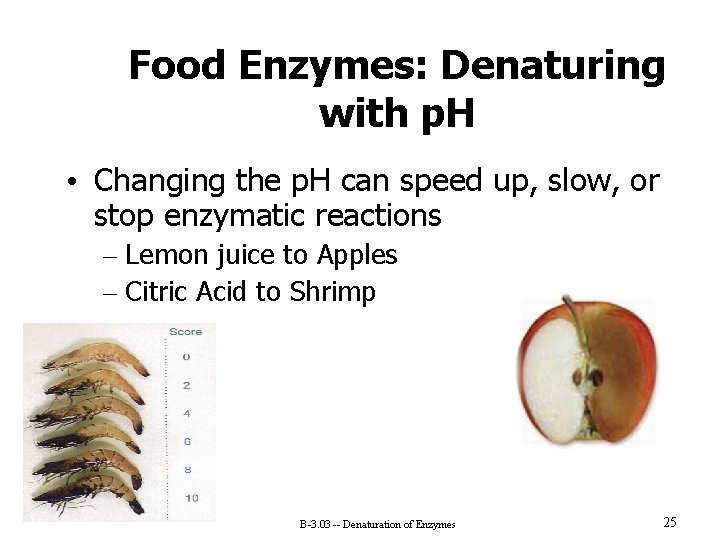 Food Enzymes: Denaturing with p. H • Changing the p. H can speed up,