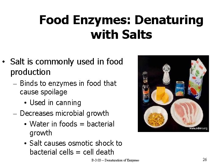 Food Enzymes: Denaturing with Salts • Salt is commonly used in food production –