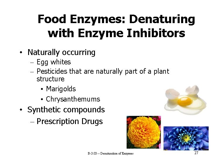 Food Enzymes: Denaturing with Enzyme Inhibitors • Naturally occurring – Egg whites – Pesticides