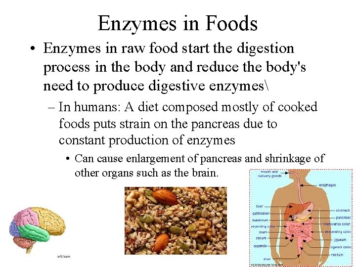 Enzymes in Foods • Enzymes in raw food start the digestion process in the