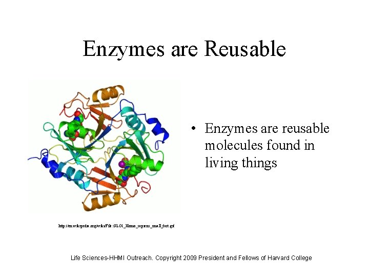 Enzymes are Reusable • Enzymes are reusable molecules found in living things http: //en.