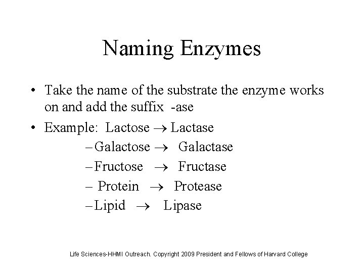 Naming Enzymes • Take the name of the substrate the enzyme works on and