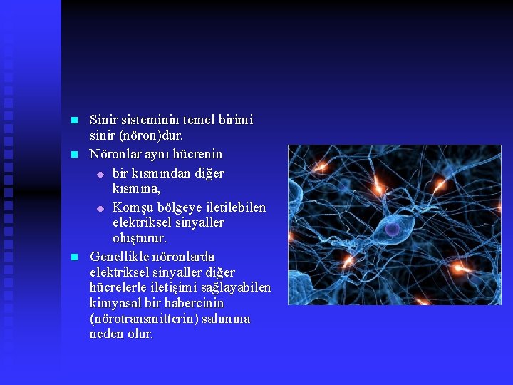 n n n Sinir sisteminin temel birimi sinir (nöron)dur. Nöronlar aynı hücrenin u bir