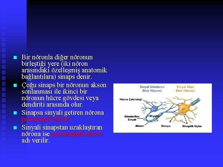 n n Bir nöronla diğer nöronun birleştiği yere (iki nöron arasındaki özelleşmiş anatomik bağlantılara)