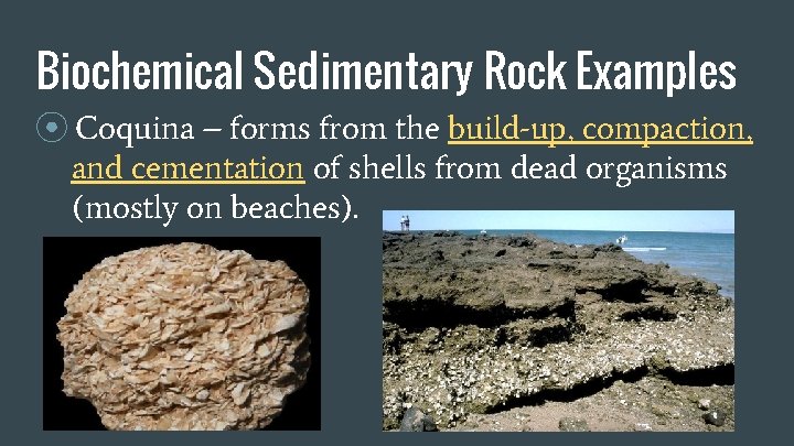Biochemical Sedimentary Rock Examples ⦿ Coquina – forms from the build-up, compaction, and cementation