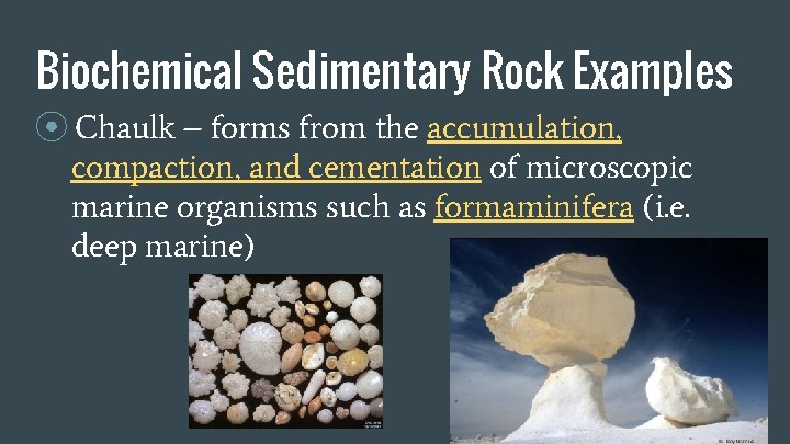 Biochemical Sedimentary Rock Examples ⦿ Chaulk – forms from the accumulation, compaction, and cementation