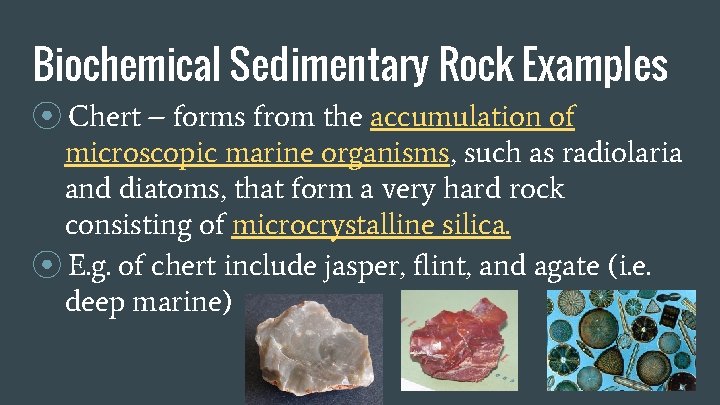 Biochemical Sedimentary Rock Examples ⦿ Chert – forms from the accumulation of microscopic marine