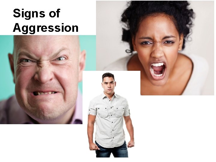 Signs of Aggression 