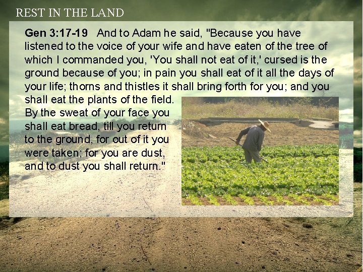 REST IN THE LAND Gen 3: 17 -19 And to Adam he said, "Because