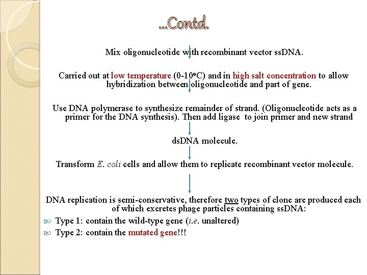 …Contd. Mix oligonucleotide with recombinant vector ss. DNA. Carried out at low temperature (0 …Contd. Mix oligonucleotide with recombinant vector ss. DNA. Carried out at low temperature (0