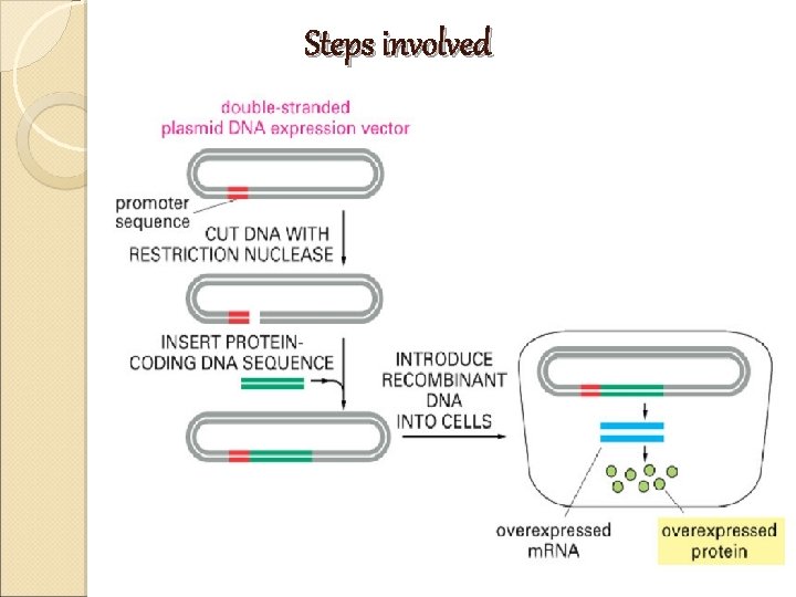 Steps involved Steps involved