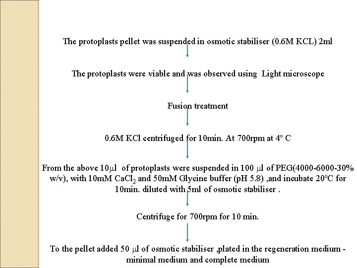 The protoplasts pellet was suspended in osmotic stabiliser (0. 6 M KCL) 2 ml The protoplasts pellet was suspended in osmotic stabiliser (0. 6 M KCL) 2 ml