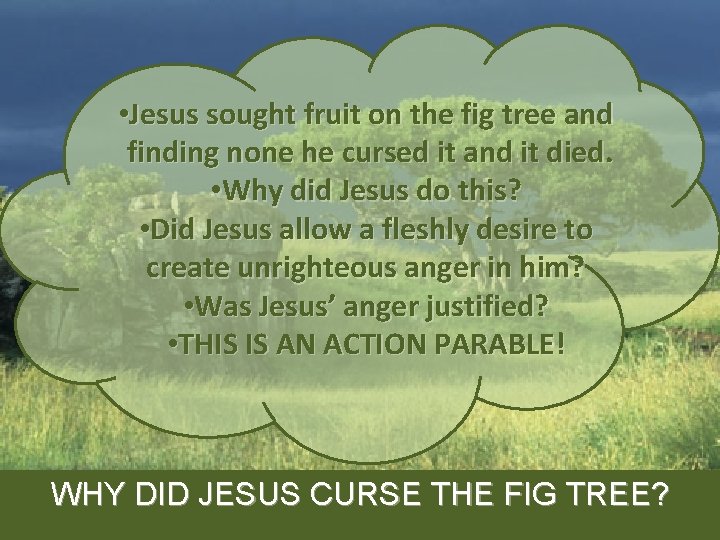  • Jesus sought fruit on the fig tree and finding none he cursed