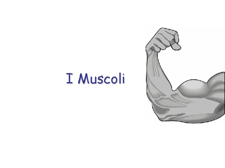 I Muscoli 