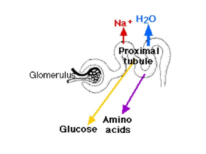 glükóz hipertónia